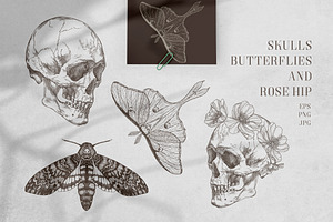 SKULLS, BUTTERFLIES AND ROSE HIP