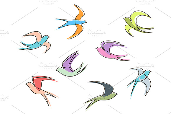 Swallow Birds