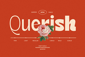 SNS - Querish