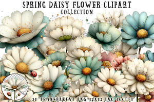 Spring Daisy Flower Clipart, an Illustration by OK Design