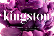 SF Kingston | Family, a Serif Font by Anthony James (Thumbnail 1 of 5)