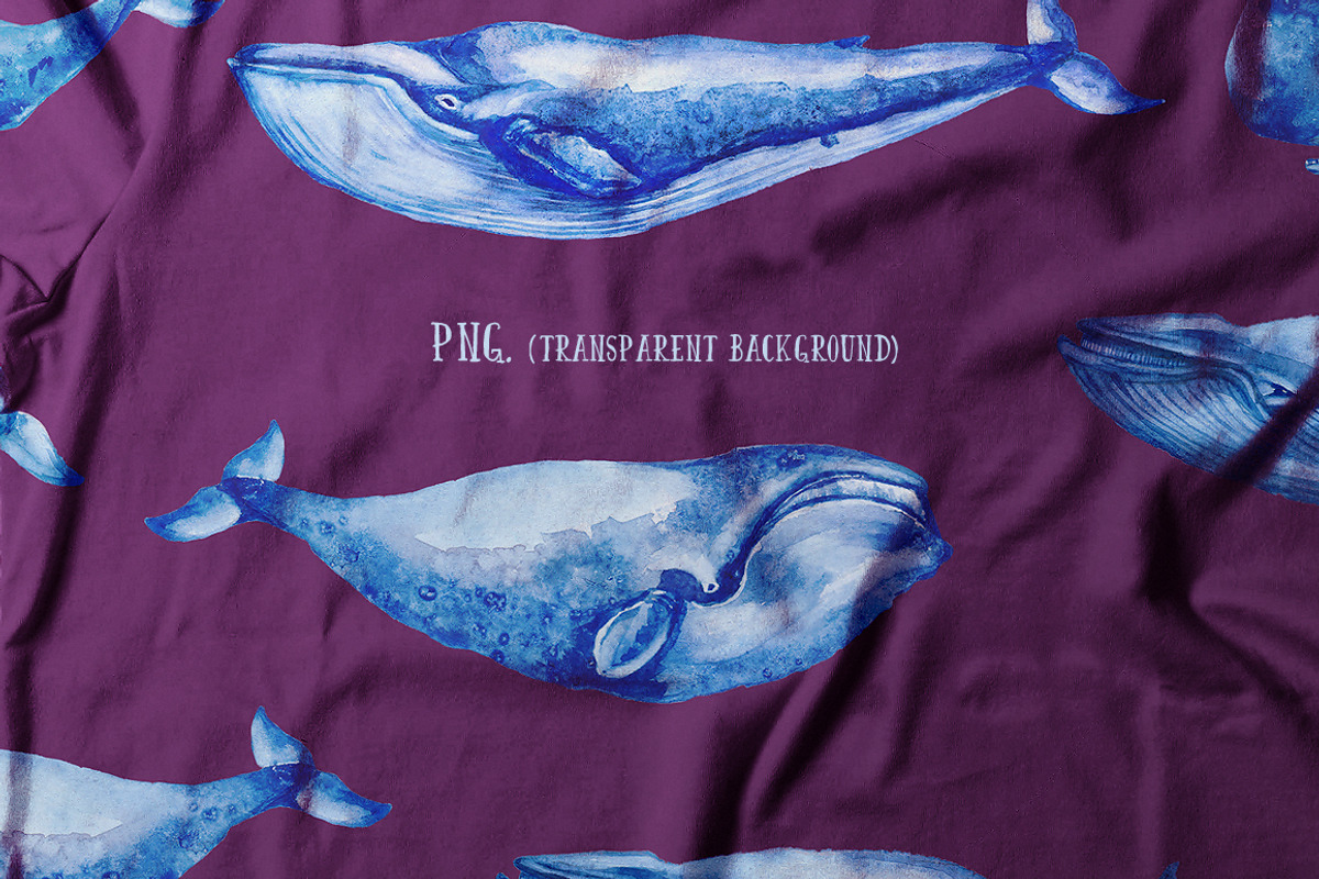 Watercolor Whales & Patterns, an Animal Illustration by ZiziMarket (Photo 3 of 3)
