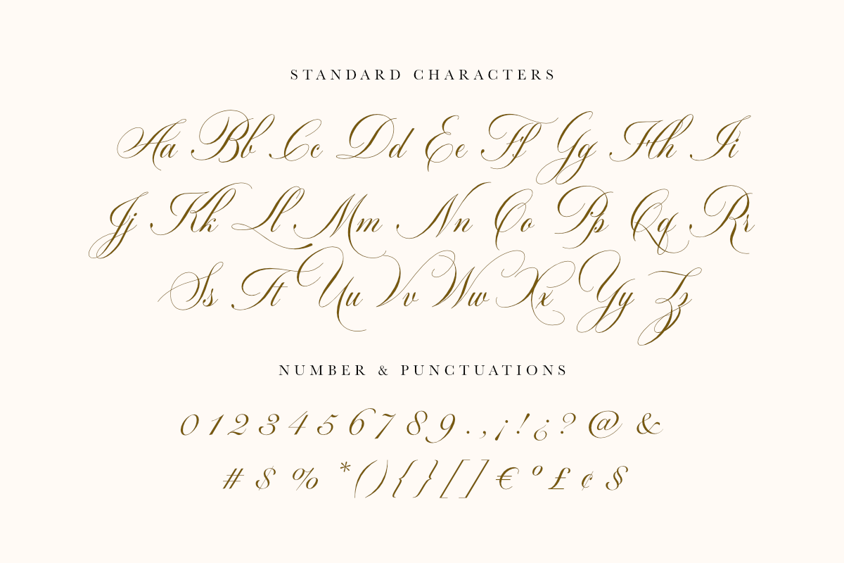 Robinsan - Premium Calligraphy, a Script Font by Silverdav (Photo 13 of 16)