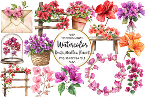 Bougainvillea Flower Clipart, an Illustration by OK Design