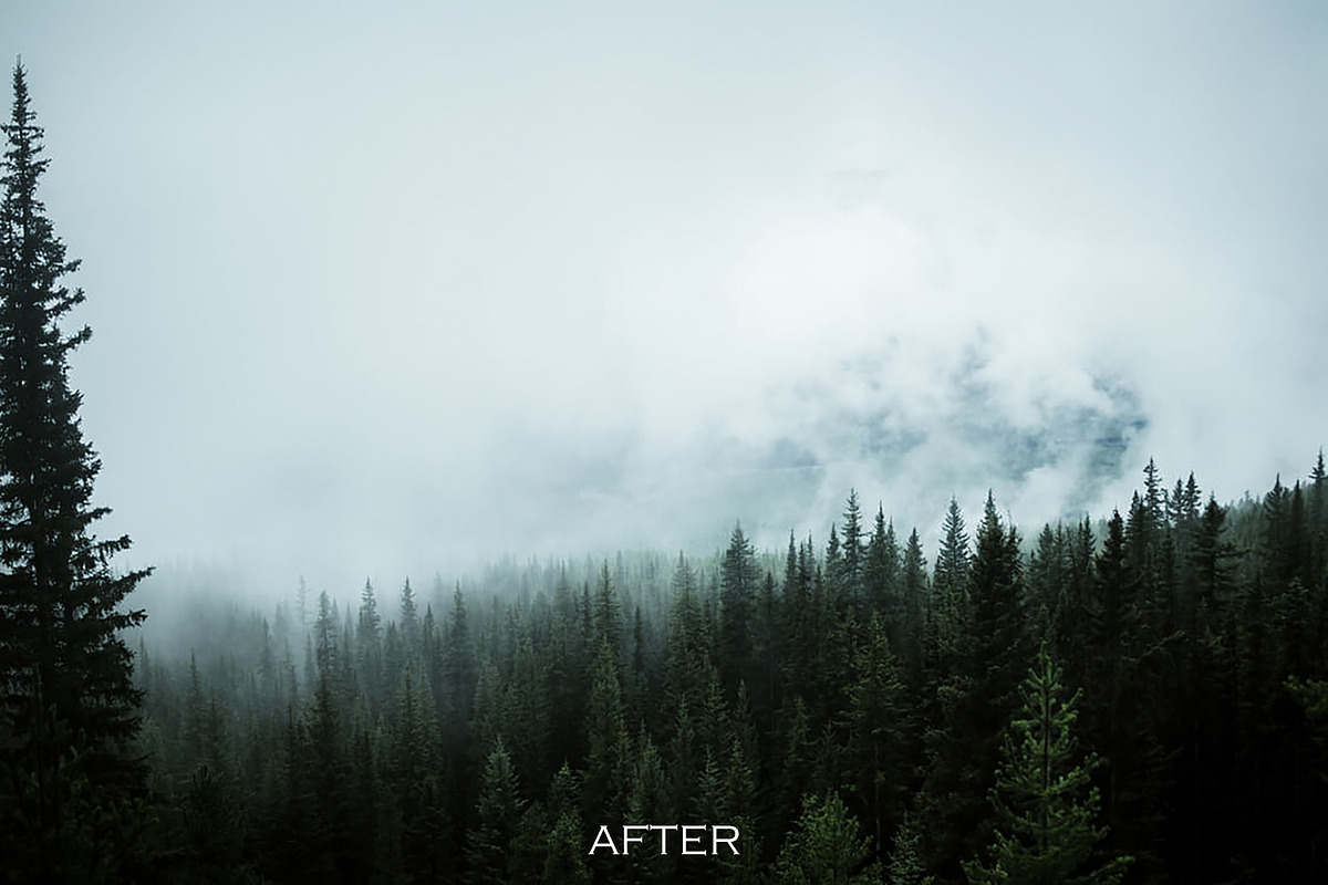 10 Cool Fog Lightroom Presets preview 3