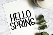 Planner Highland, a Script Font by FreshTypeINK (Thumbnail 6 of 8)