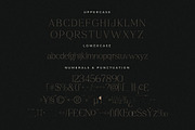 Gestiva Elegant Modern Serif, a Serif Font by Storytype Studio (Thumbnail 13 of 15)