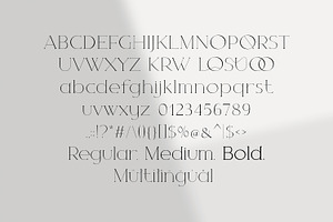 Magnolia. Modern Serif Font