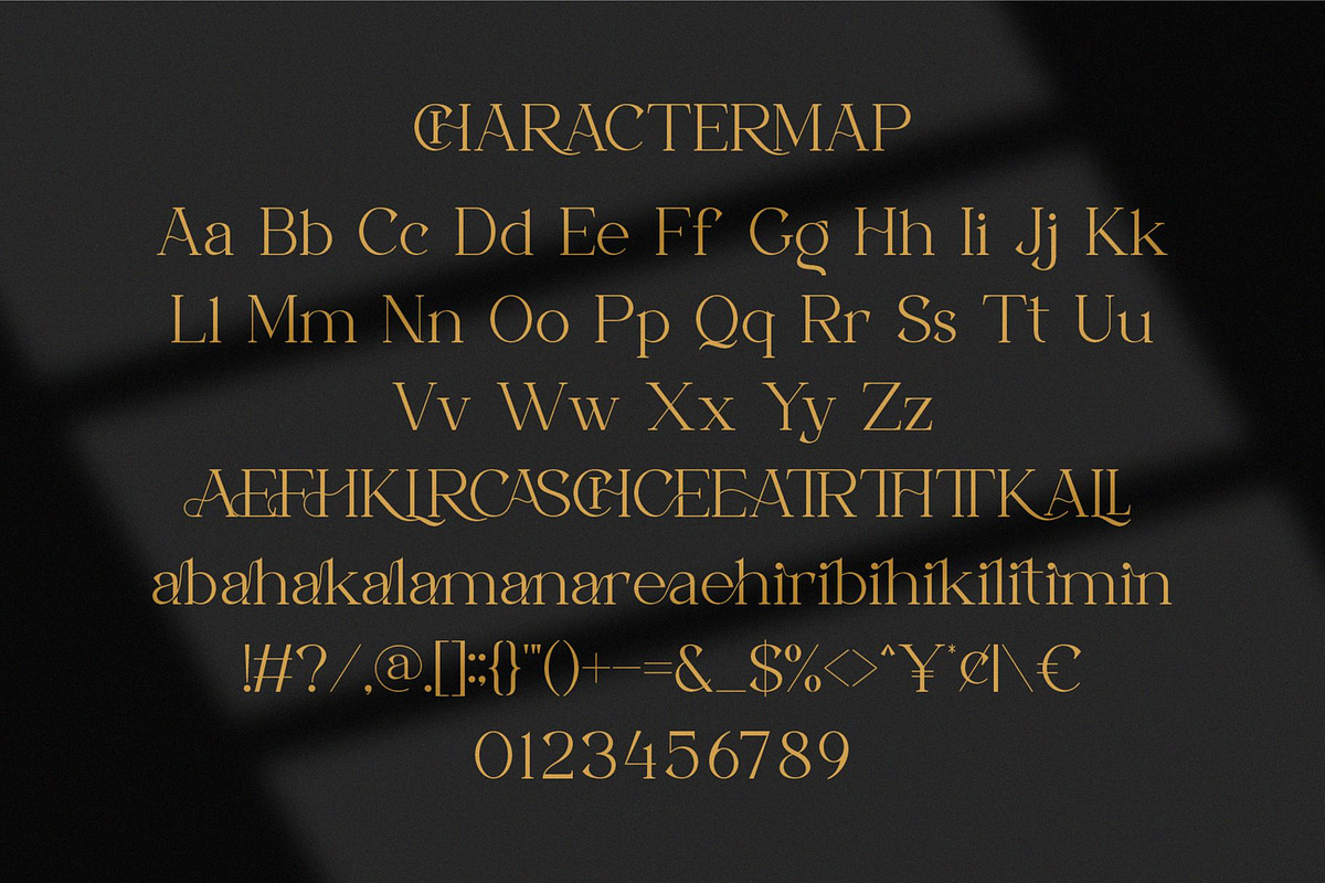 Treka || Modern Serif Font, a Serif Font by Ermedia Studio (Photo 8 of 10)