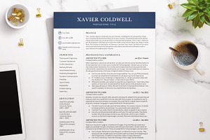 Professional CV Template For Word