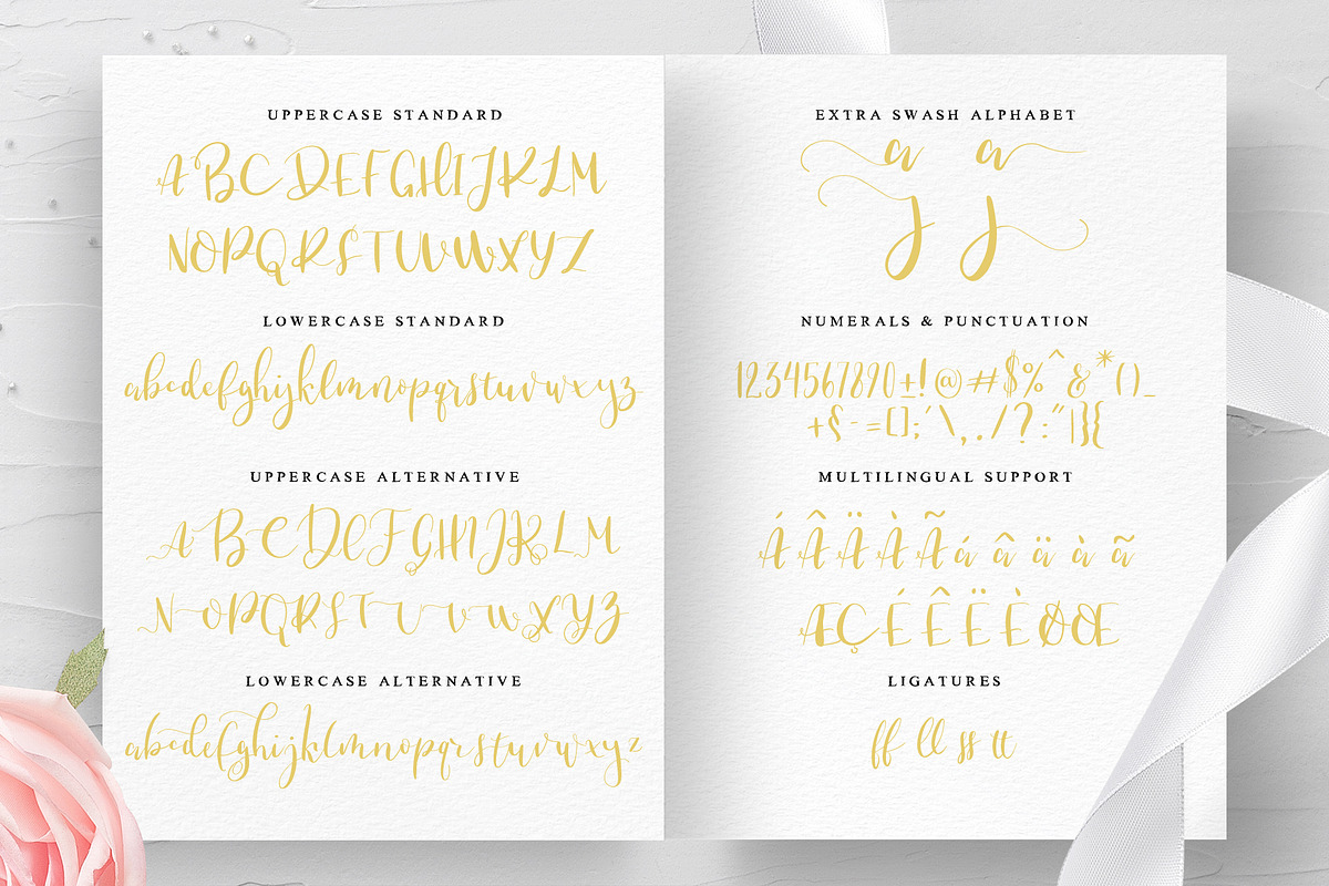 The Knot | A wedding font duo+Bonus, a Script Font by George Bourle (Photo 12 of 13)