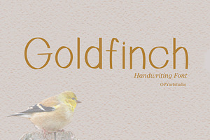 Goldfinch - Handwriting Clean Font