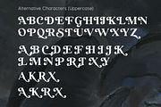 Roklin - Classic Stylish, a Serif Font by Sign Studio (Thumbnail 10 of 11)