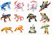 Watercolor Amphibians Clipart, an Illustration by Craft Nest (Thumbnail 2 of 6)
