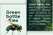 Lacerika Modern Sans Serif Font, a Sans Serif Font by IWMType (Thumbnail 3 of 7)