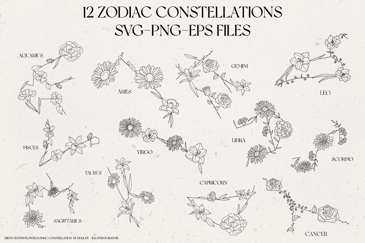 Birth Month Zodiac Constellations, an Illustration by IllustratorAnnie (Photo 3 of 5)