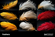Feathers. 54 images, an Animal Illustration by Handmadefont (Thumbnail 2 of 12)