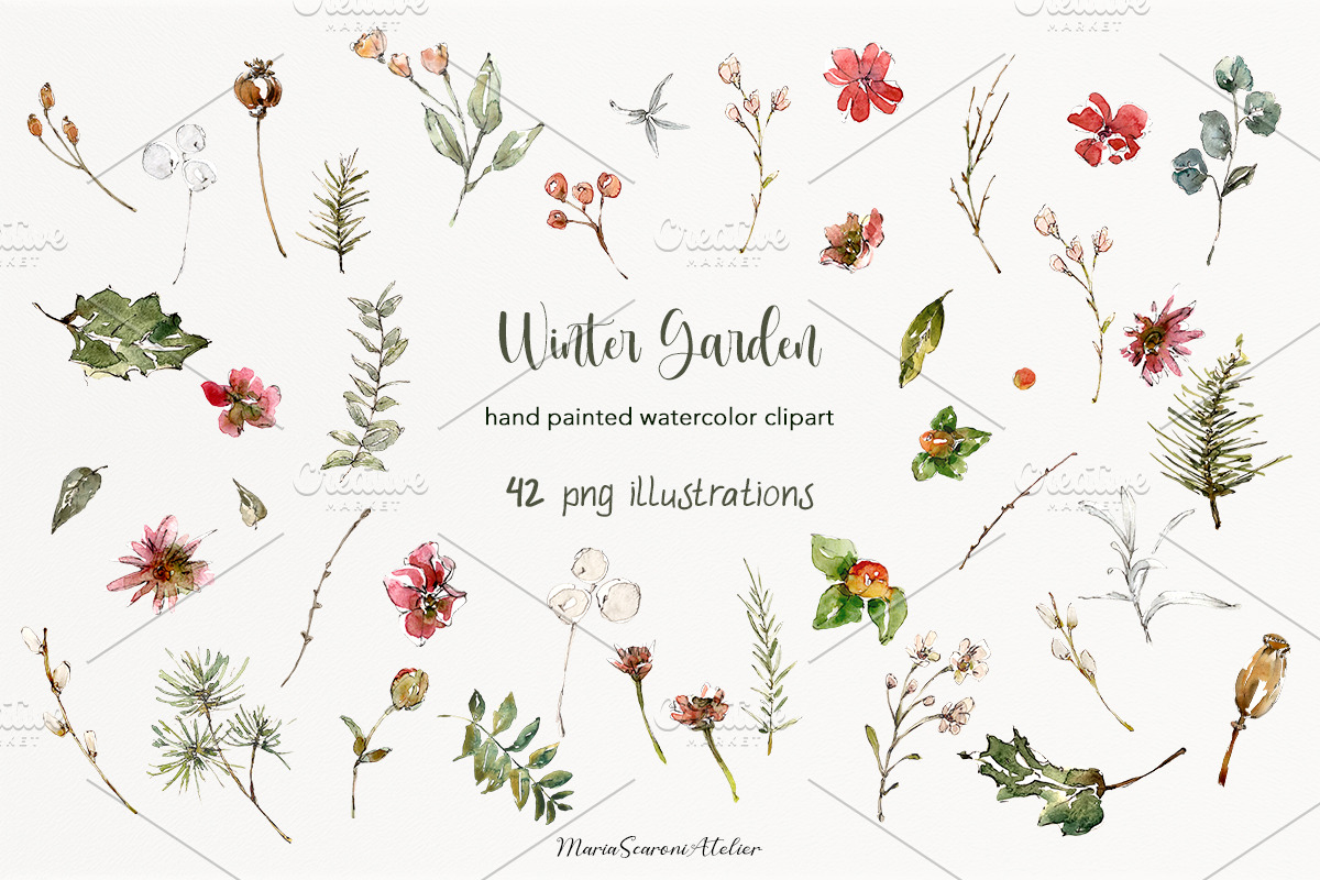 Winter Garden Watercolor Collection, a Seasonal Illustration by MariaScaroniAtelier (Photo 3 of 6)