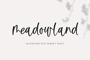 Meadowland | Modern Script Font, a Script Font by KA Designs (Thumbnail 1 of 8)