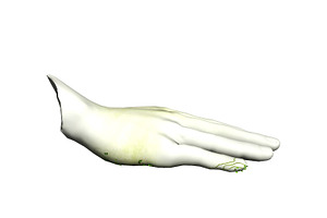 3DFoin - Animated Hand Statue