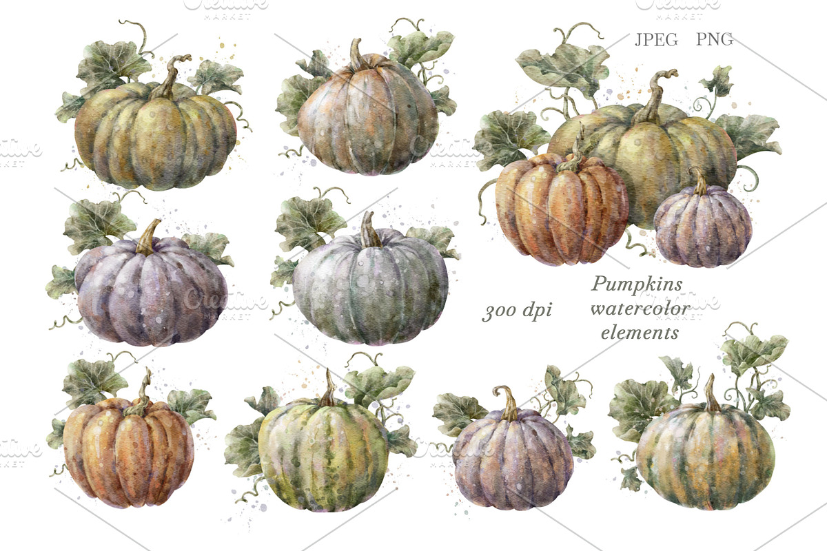 Watercolor Floral Pumpkin Clipart., a Decorative Illustration by VetaDesign (Photo 3 of 10)