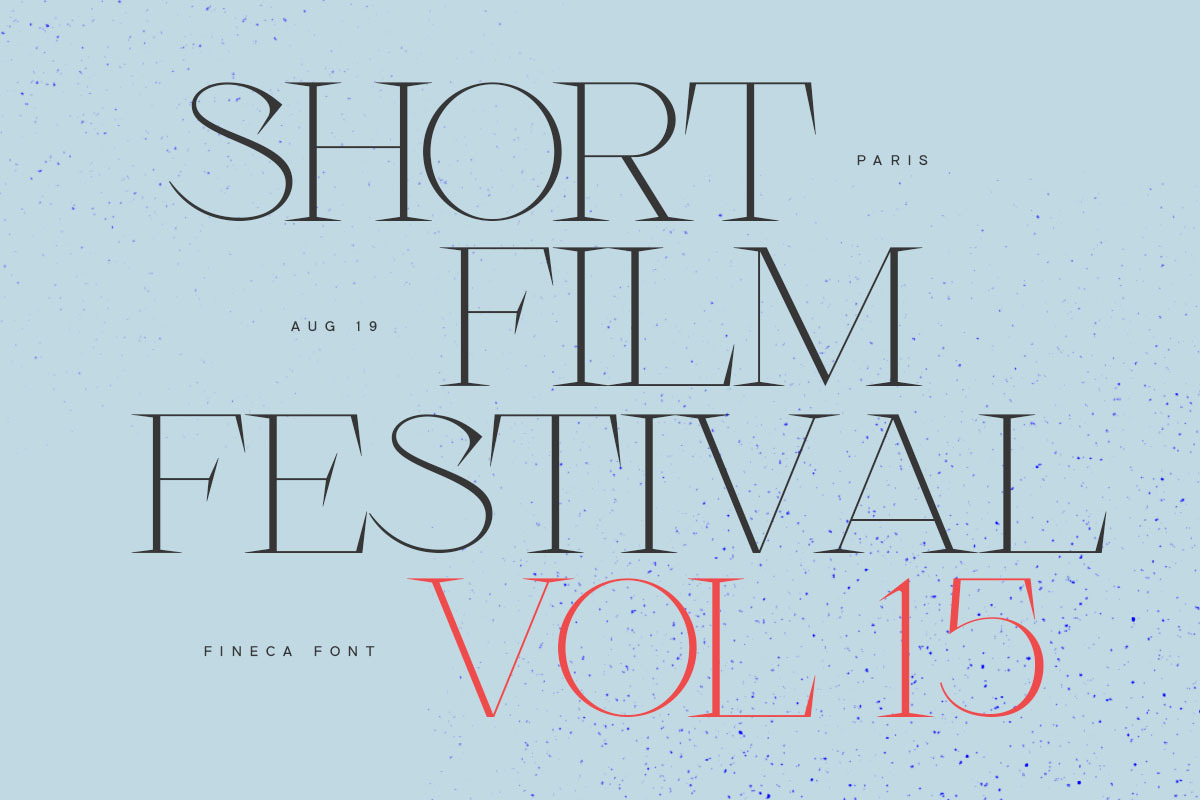 Fineca, a Serif Font by vuuuds (Photo 10 of 10)
