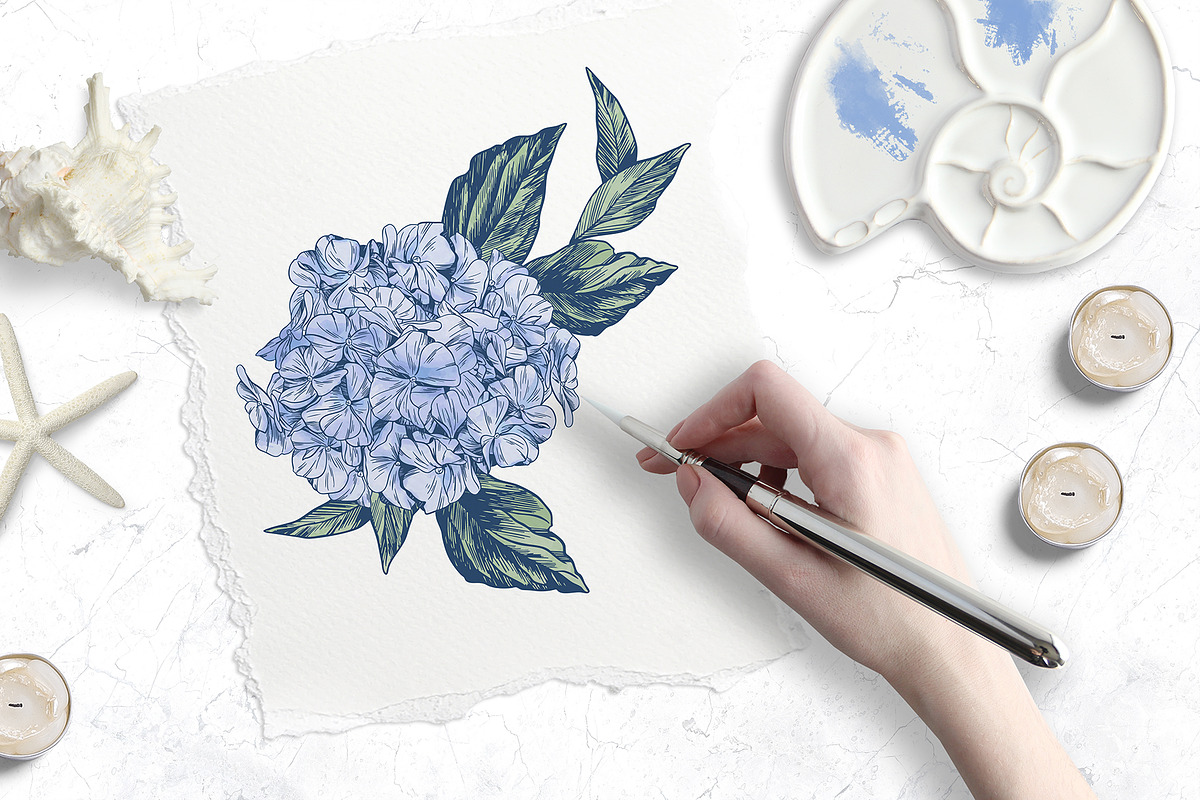 Hydrangea | Vector patterns set, a Pattern Graphic by Tanya Vollar (Photo 3 of 9)