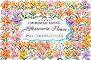 Retro Vintage Alstroemeria Flowers, an Illustration by designcity5 (Thumbnail 1 of 5)