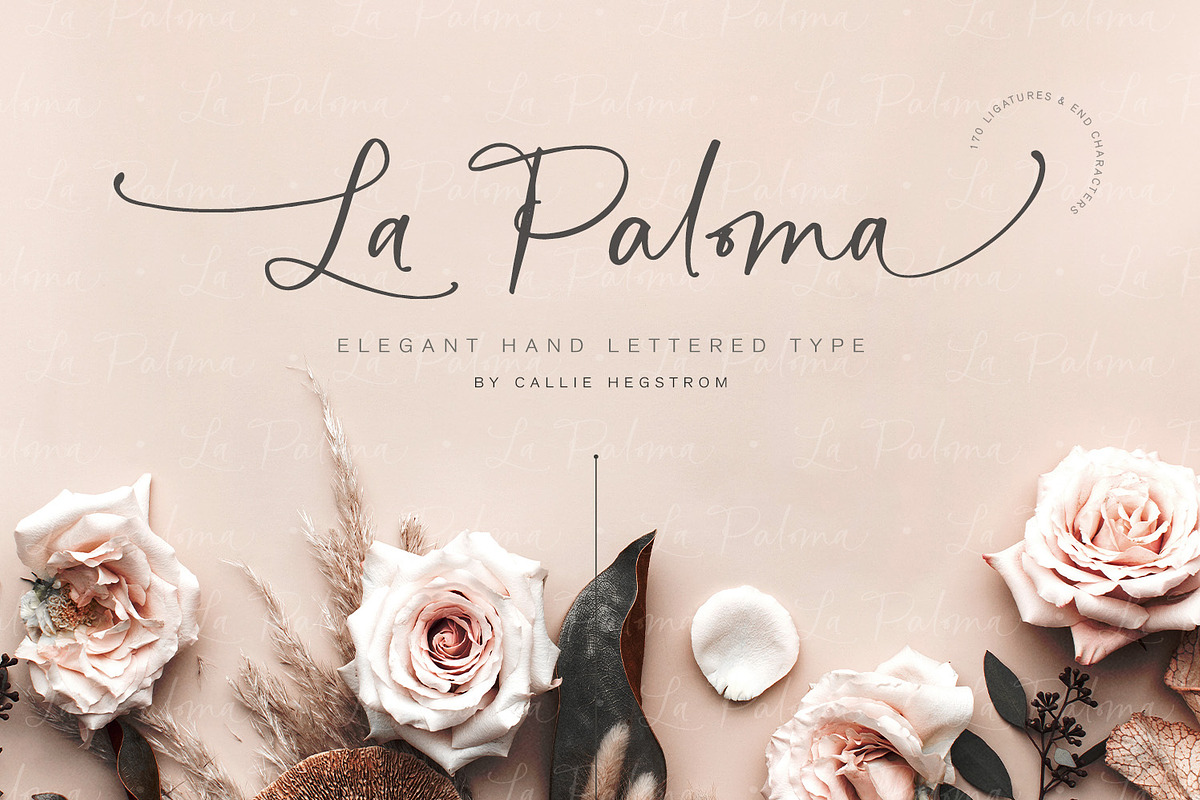 La Paloma Script + Catchwords, a Script Font by Callie Rian & Co. (Photo 1 of 21)