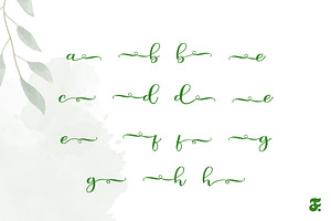 Whimsy Grace Script Font