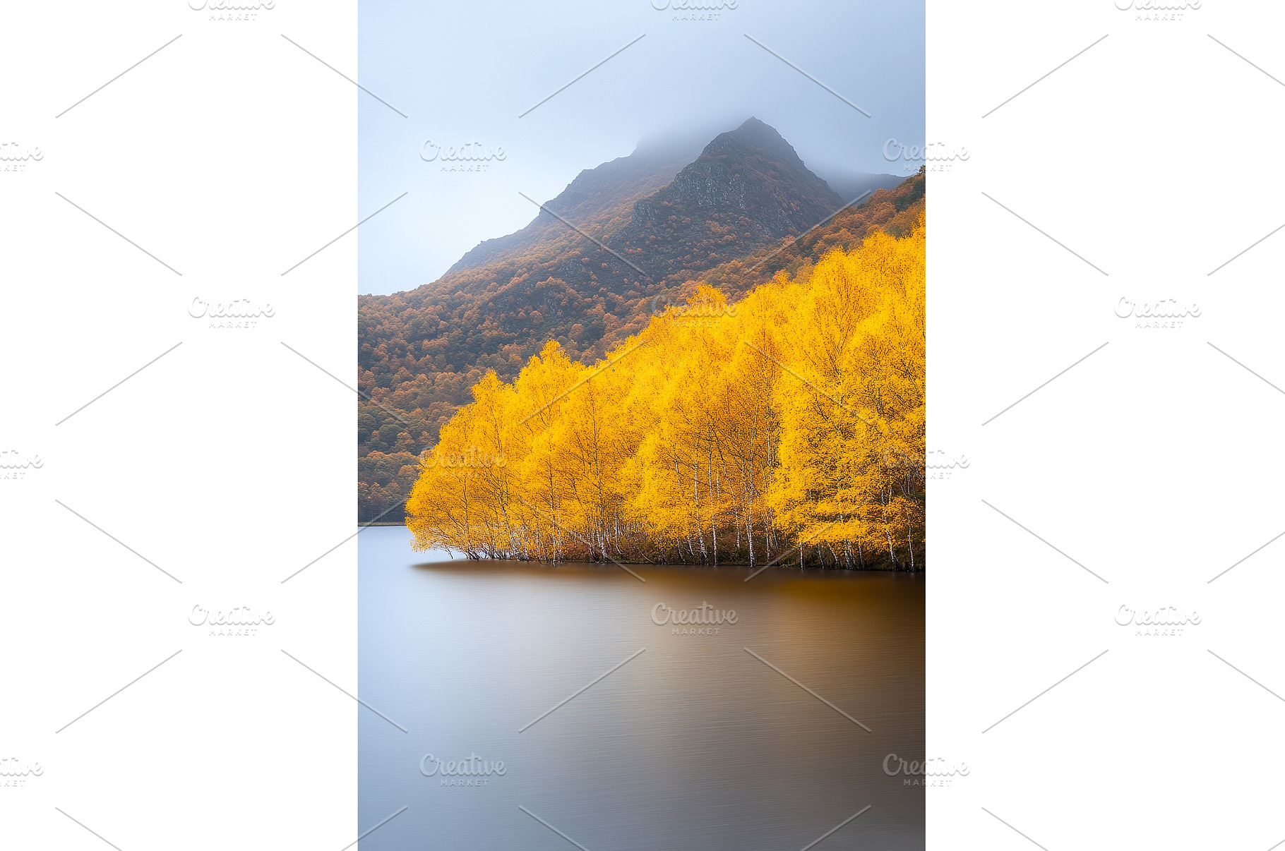 Golden Yellow Trees Reflected on a, a Nature Photo by Lermont51