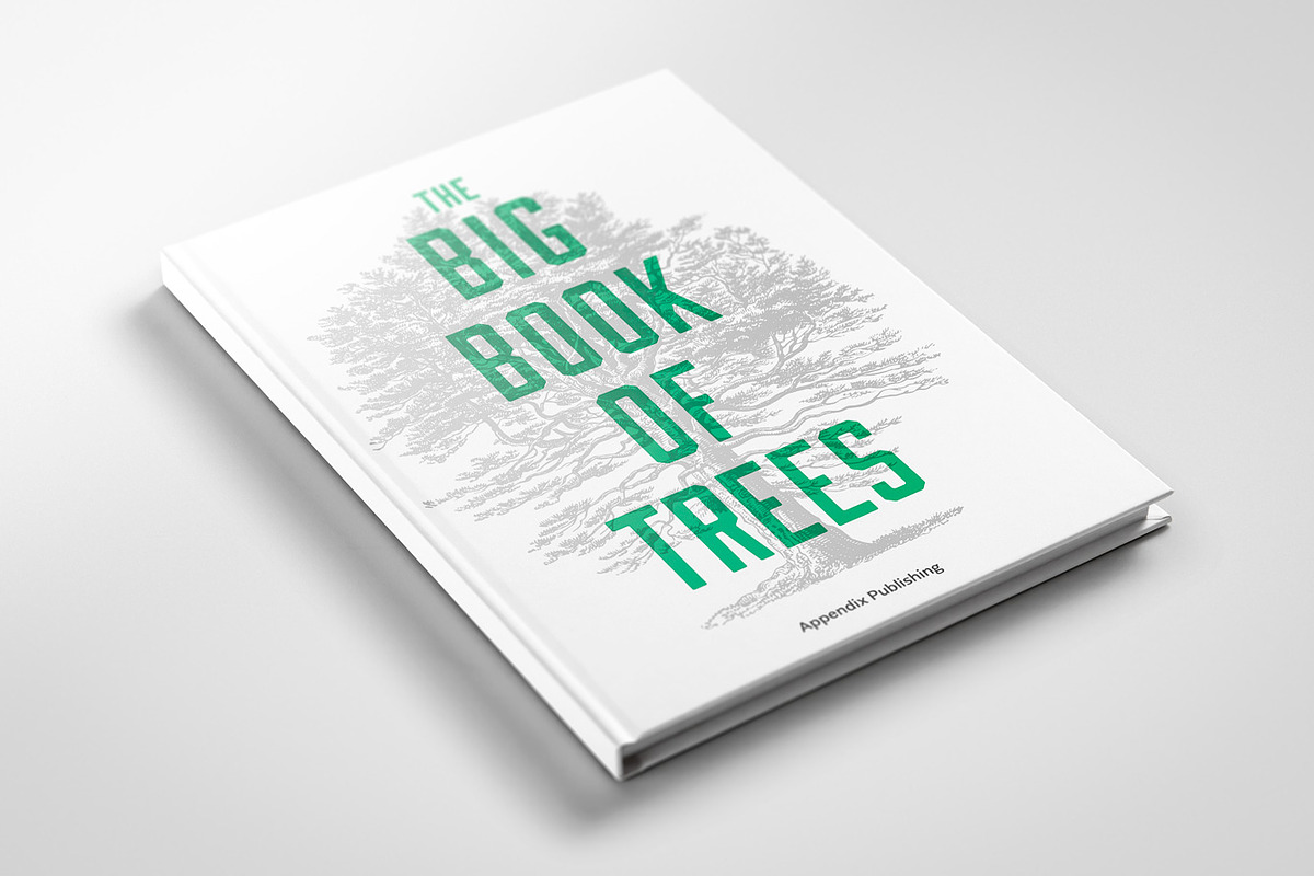 Trees - Vintage Illustrations Set, an Illustration by Graphic Goods (Photo 9 of 10)
