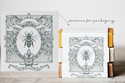 Calligraphic set of vintage flourish, an Object Illustration by FleurArt (Thumbnail 8 of 12)