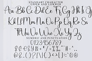 Beautiful Ornaments, a Handwritten Font by FreshTypeINK (Thumbnail 3 of 8)