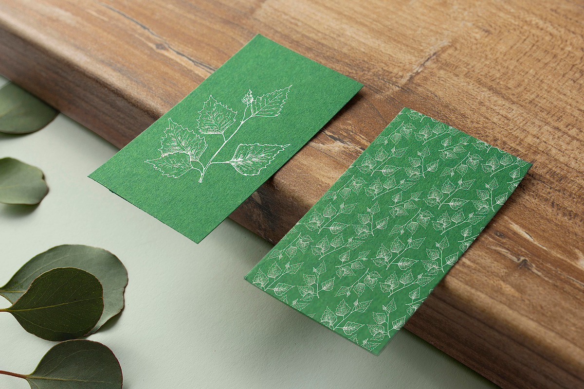 Birch leaf. Sketch and patterns, an Illustration by Canatic (Photo 7 of 10)