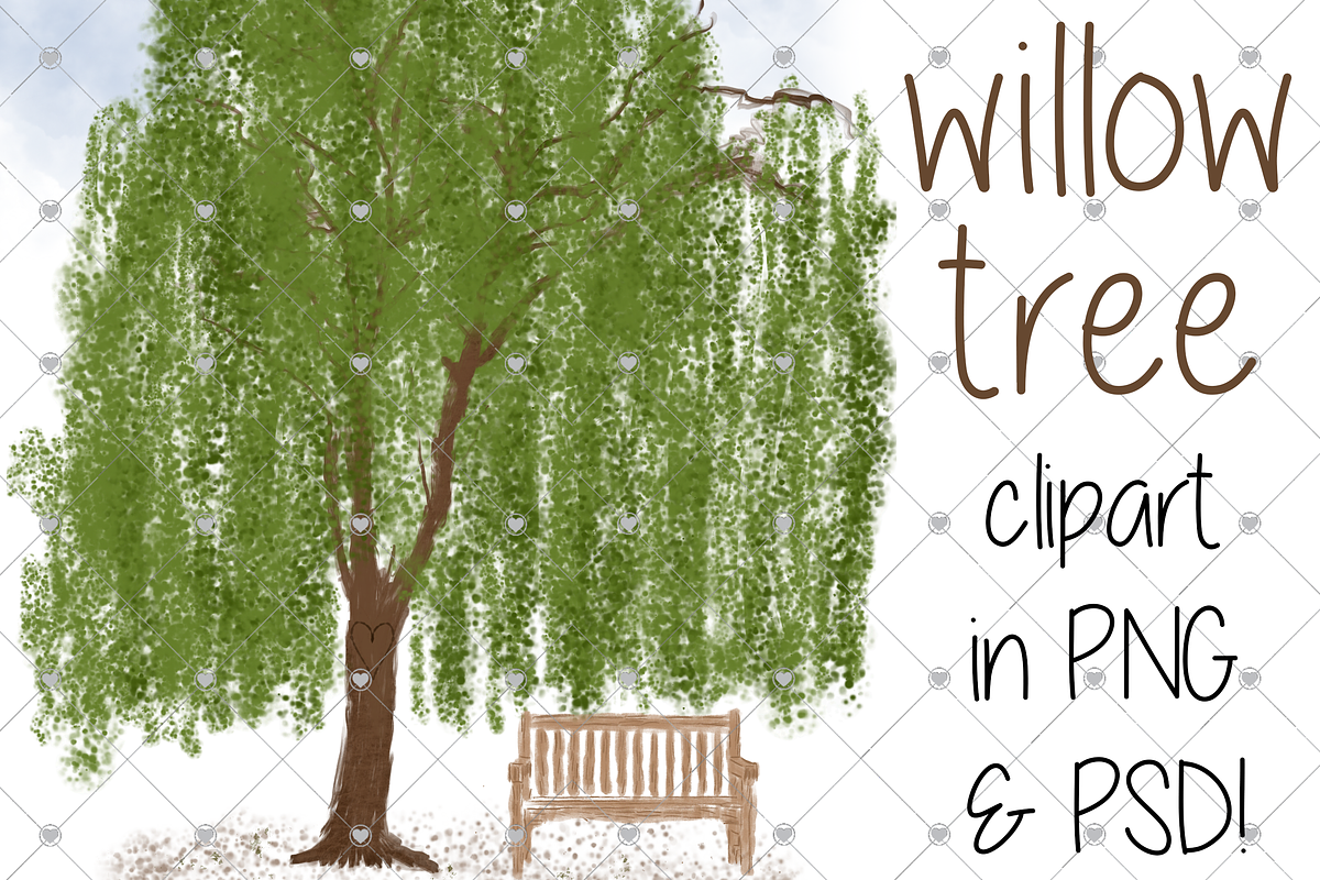 willow tree, trees, family tree,, an Illustration by CommercialCliparts