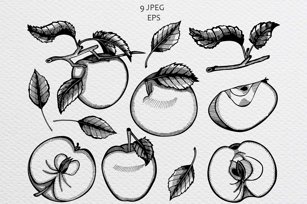 Set of hand-drawn sketches apples, a Background Graphic by Fresh art by Larysa (Photo 2 of 5)