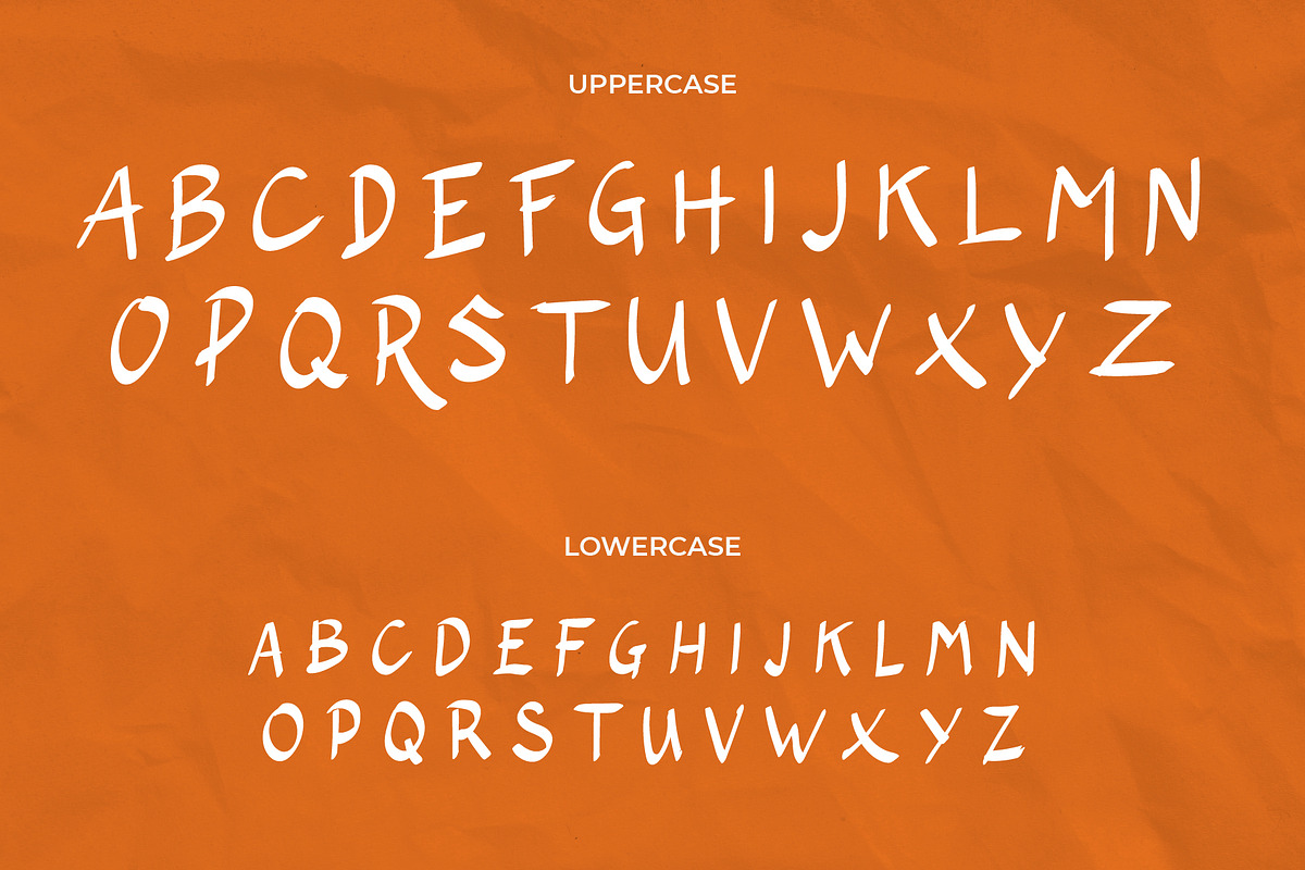 The Wolfflin // Handwritten Font, a Script Font by Letterature Std. (Photo 3 of 11)