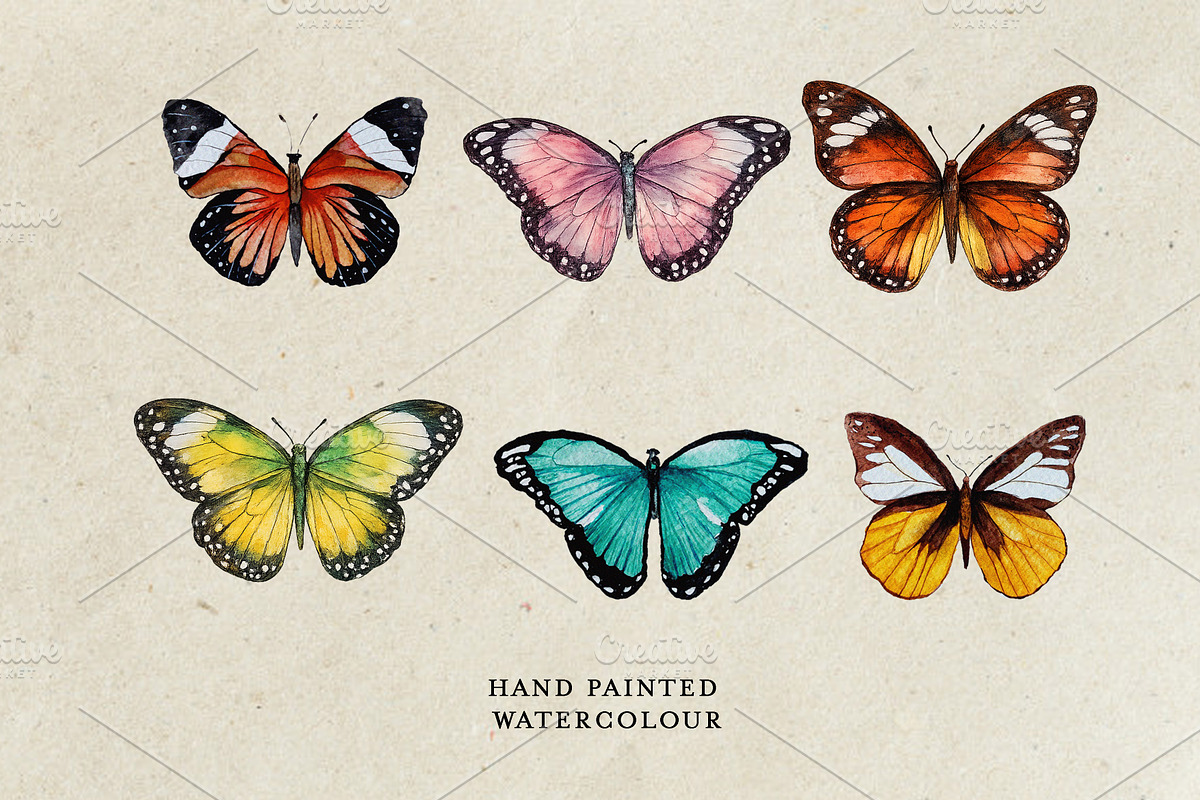 Watercolor Butterflies, a Decorative Illustration by Karliefie (Photo 2 of 5)