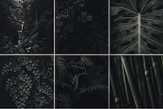 Deep Green Preset, a Plug-in Add-On by Unlimited Presets (Thumbnail 3 of 3)
