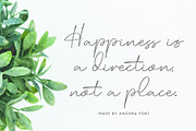 Angora, a Script Font by Omotu Studio (Thumbnail 8 of 12)