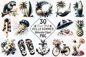 Ivory and Black Hello Summer Clipart, an Illustration by RobertsArt