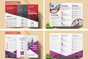 Tri-Fold Brochure Template Bundle