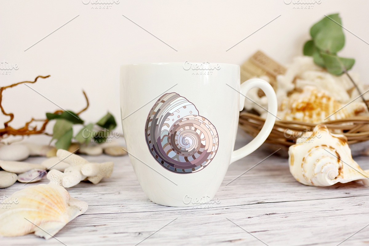 Seashells patterns collection, a Pattern Graphic by Sam2211 (Photo 10 of 13)