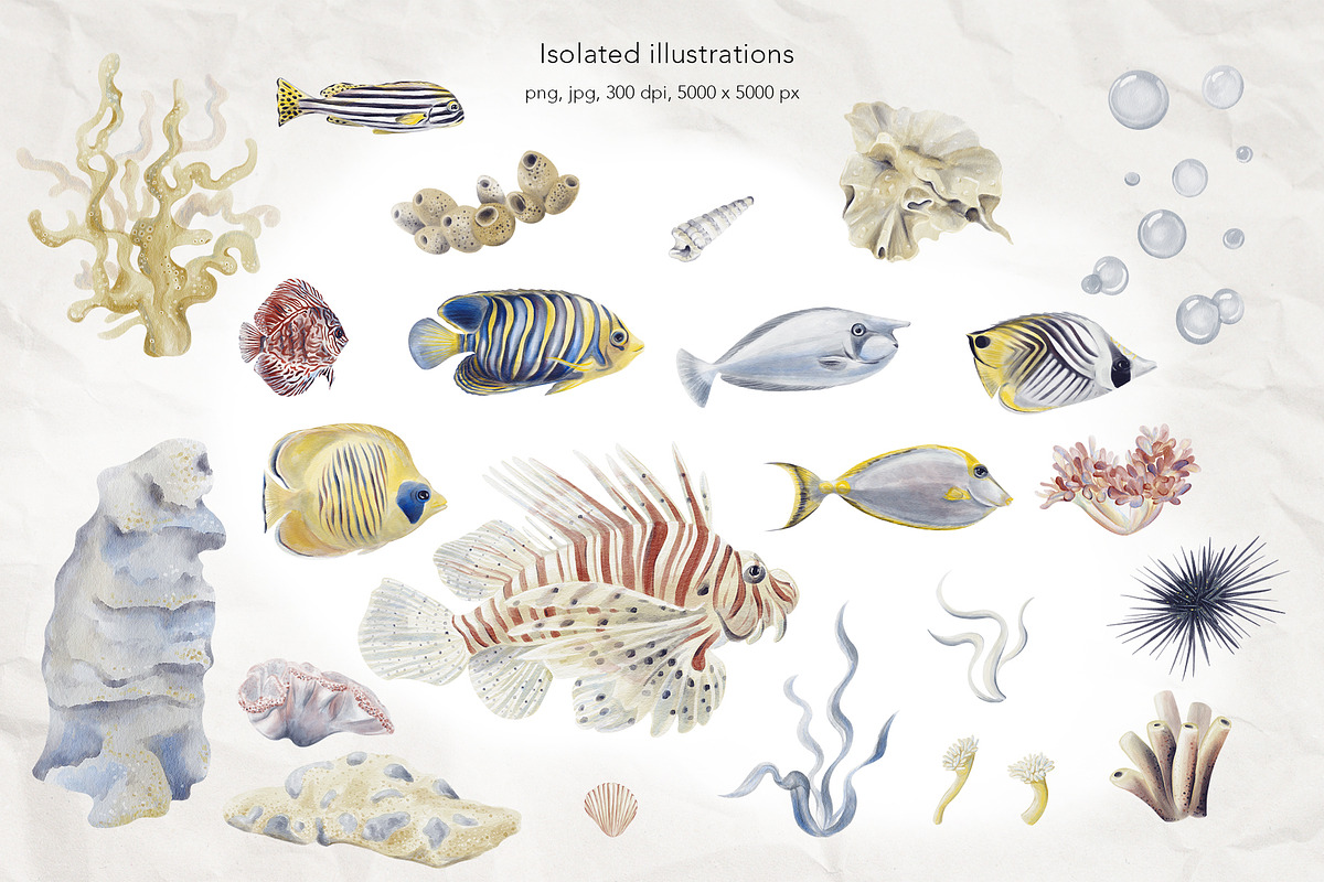 Tropical fish watercolor, an Animal Illustration by Alena Sid (Photo 2 of 11)