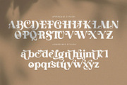 English Island Ligature Serif Font, a Serif Font by Graphicxell (Thumbnail 9 of 11)