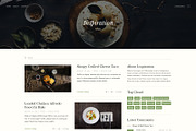 Inspiration — Lifestyle Blog PSD, a Templates & Theme by ScienteCraft (Thumbnail 11 of 47)