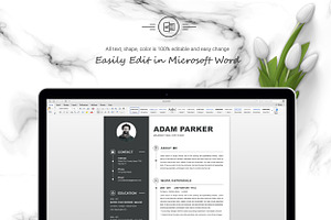 Modern & Professional Colour Resume