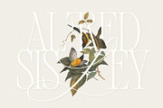Alizee - Classy Hybrid Serif, a Serif Font by Harmonais Visual (Thumbnail 16 of 29)