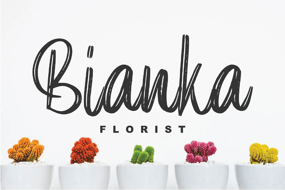 Elpanas - Beauty Brush Script preview 2